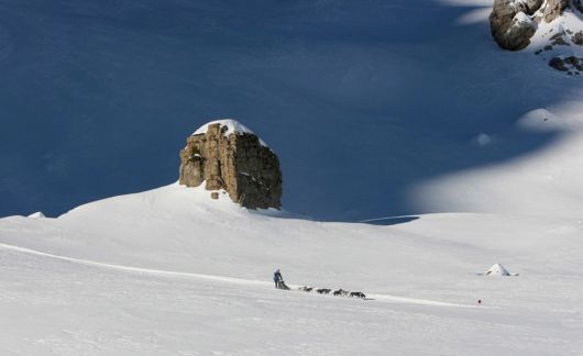 Dog Sledding Amazing Pictures