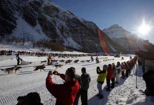 Dog Sledding Amazing Pictures