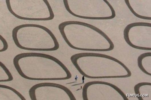 Awesome Art On The Beach