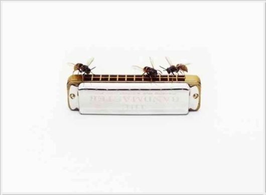 Cool Art Creations By Nancy Fouts