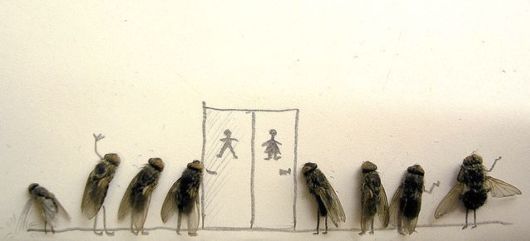 Making Art with Dead Flies