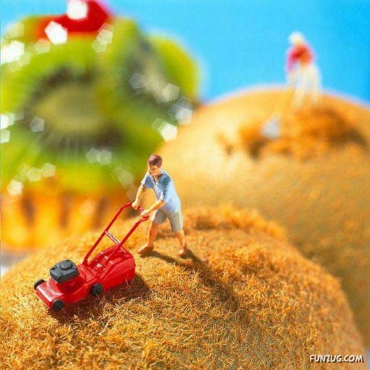 Delicious Artistic Preparations for You