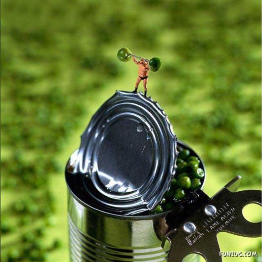 Delicious Artistic Preparations for You