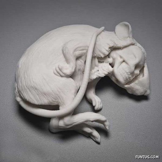 Amazing Art On Porcelain