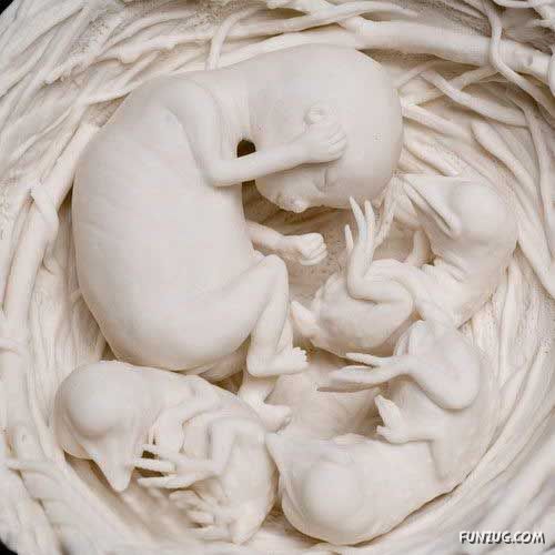 Amazing Art On Porcelain