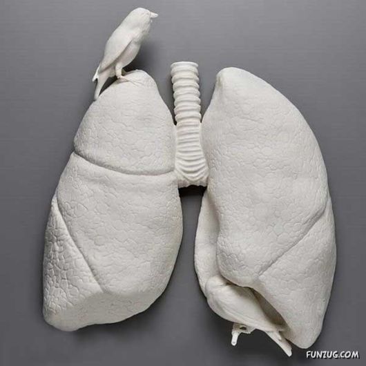 Amazing Art On Porcelain