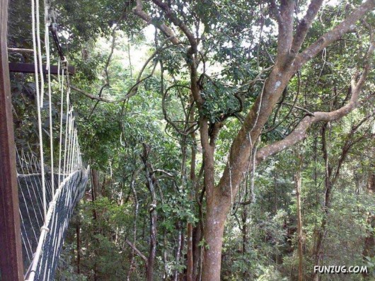 Worlds Most Dangerous Rope Bridges