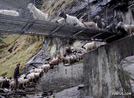 Worlds Most Dangerous Rope Bridges