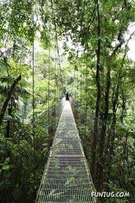Worlds Most Dangerous Rope Bridges
