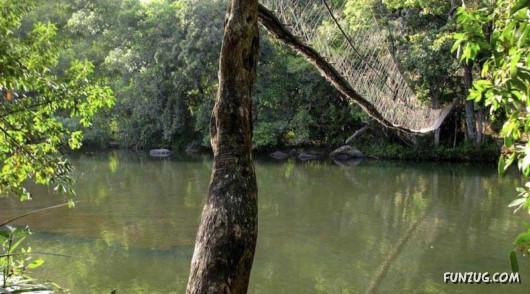 Worlds Most Dangerous Rope Bridges