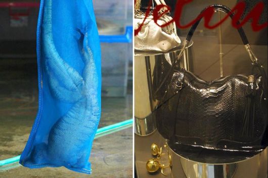 STOP Using Leather Accessories