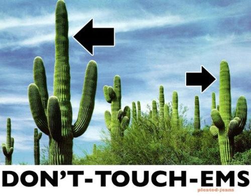 New And Improved Names For Stuff