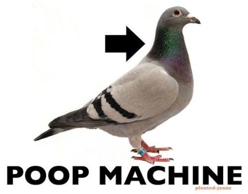 New And Improved Names For Stuff