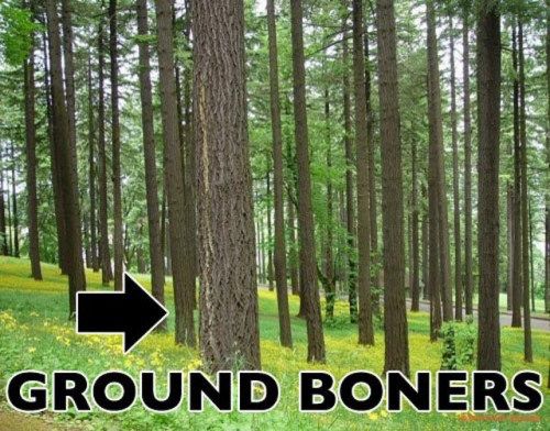 New And Improved Names For Stuff