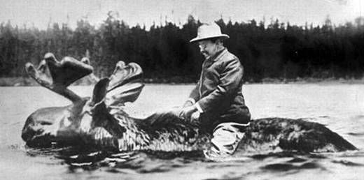 People Riding Pity Animals