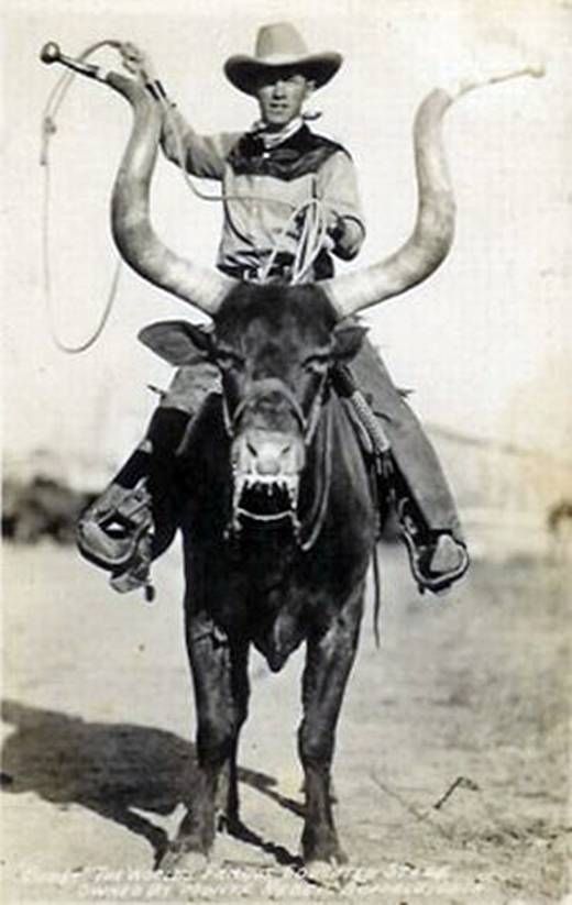 People Riding Pity Animals