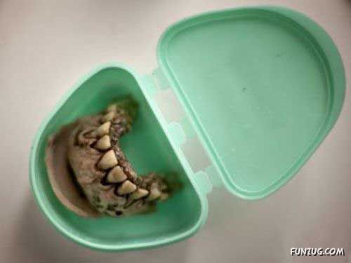 How To Make A Zombie, 'Walking Dead' Style