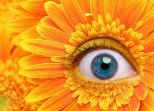 Awesomely Photoshopped Images