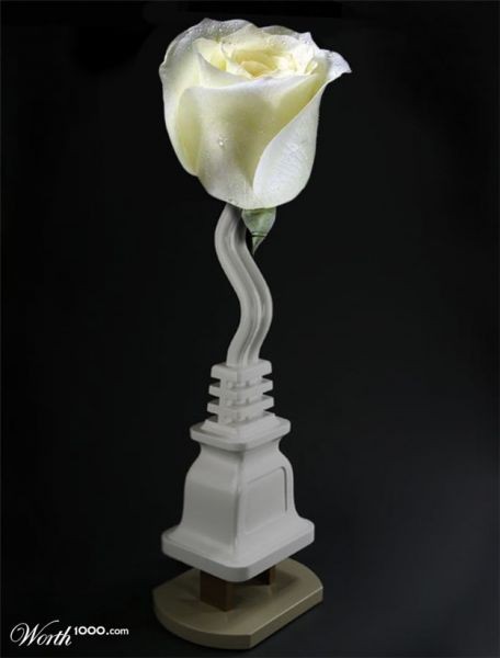 Amazing Flowers in Real Life