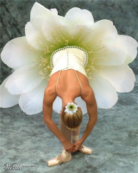 Amazing Flowers in Real Life