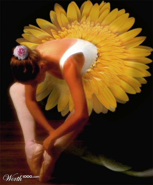 Amazing Flowers in Real Life