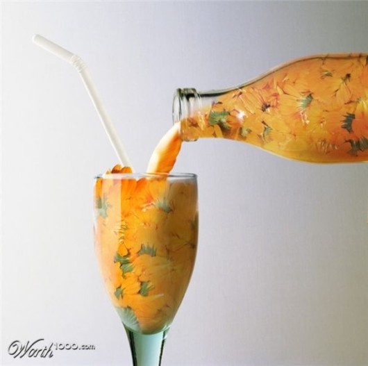 Amazing Flowers in Real Life