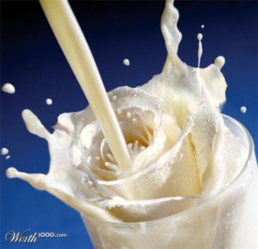 Amazing Flowers in Real Life