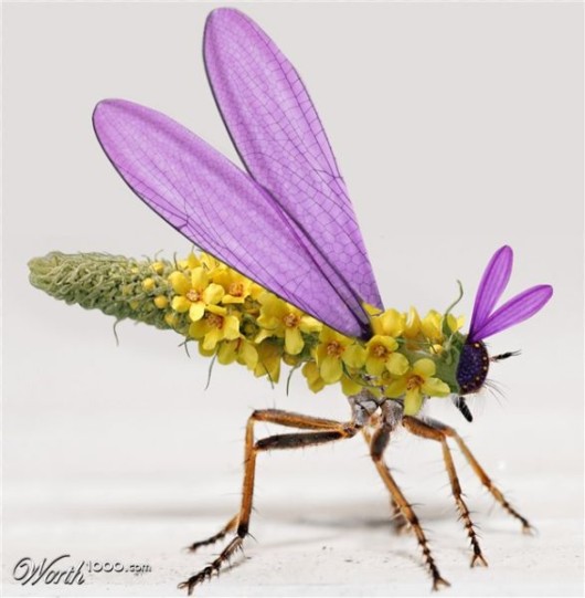 Amazing Flowers in Real Life