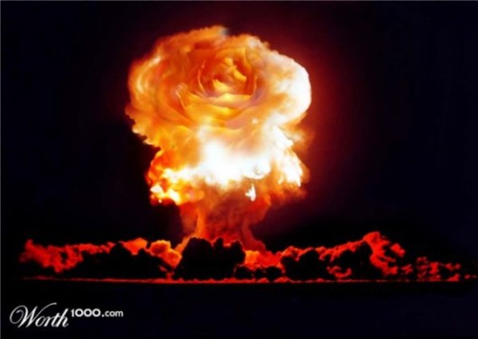 Amazing Flowers in Real Life