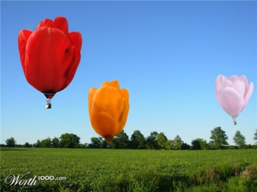 Amazing Flowers in Real Life