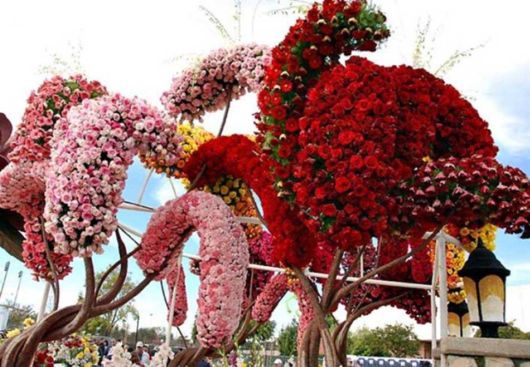 Beautiful Flower Carnival