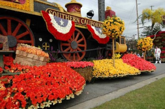 Beautiful Flower Carnival