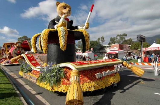 Beautiful Flower Carnival