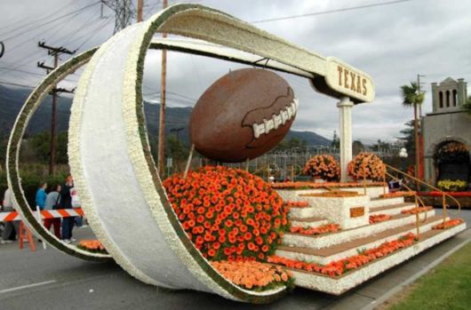 Beautiful Flower Carnival