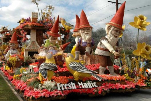 Beautiful Flower Carnival