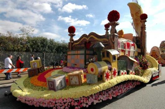 Beautiful Flower Carnival