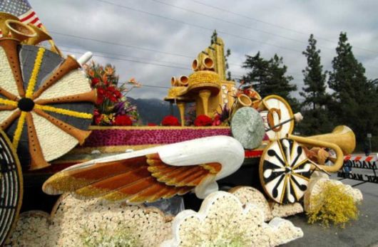 Beautiful Flower Carnival