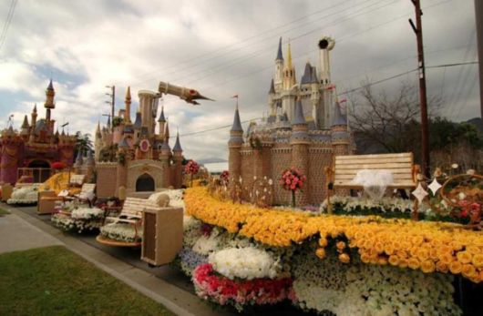 Beautiful Flower Carnival