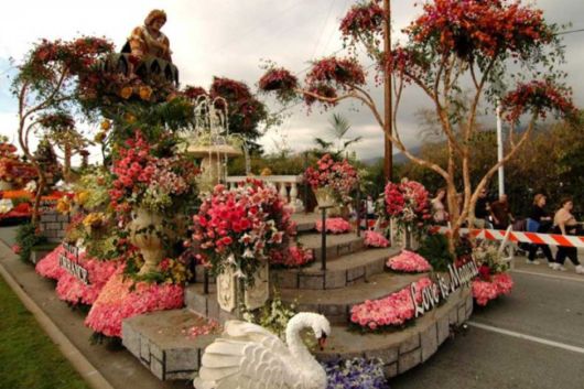 Beautiful Flower Carnival