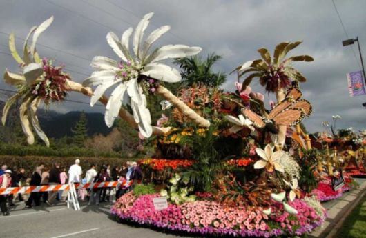 Beautiful Flower Carnival