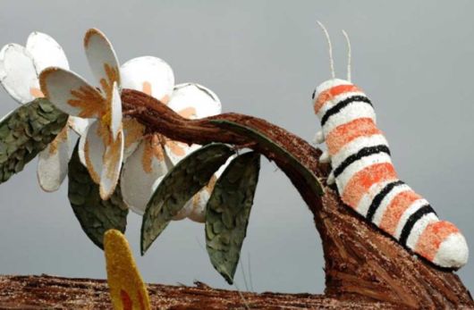 Beautiful Flower Carnival
