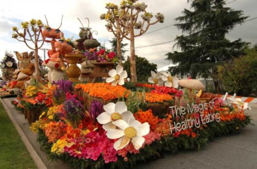 Beautiful Flower Carnival