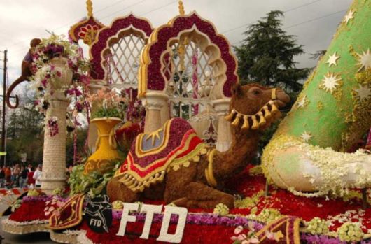 Beautiful Flower Carnival