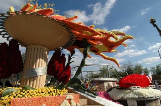 Beautiful Flower Carnival