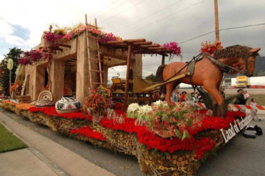 Beautiful Flower Carnival
