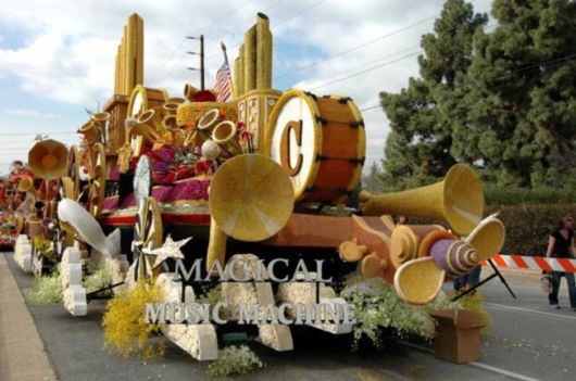 Beautiful Flower Carnival