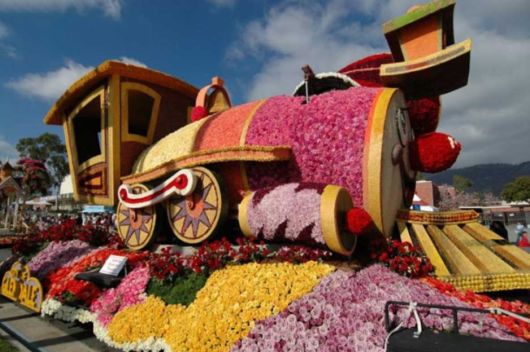 Beautiful Flower Carnival