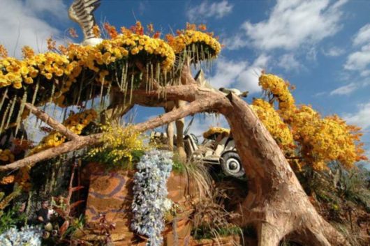 Beautiful Flower Carnival