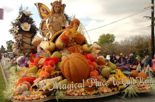 Beautiful Flower Carnival