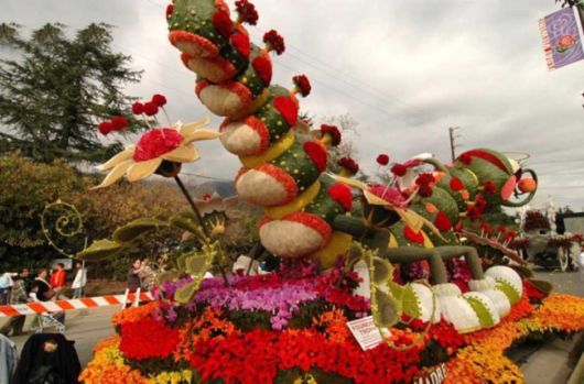 Beautiful Flower Carnival